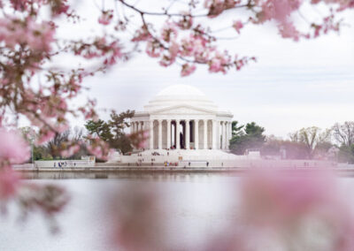 0 Cherry Blossom Collection neighborhood